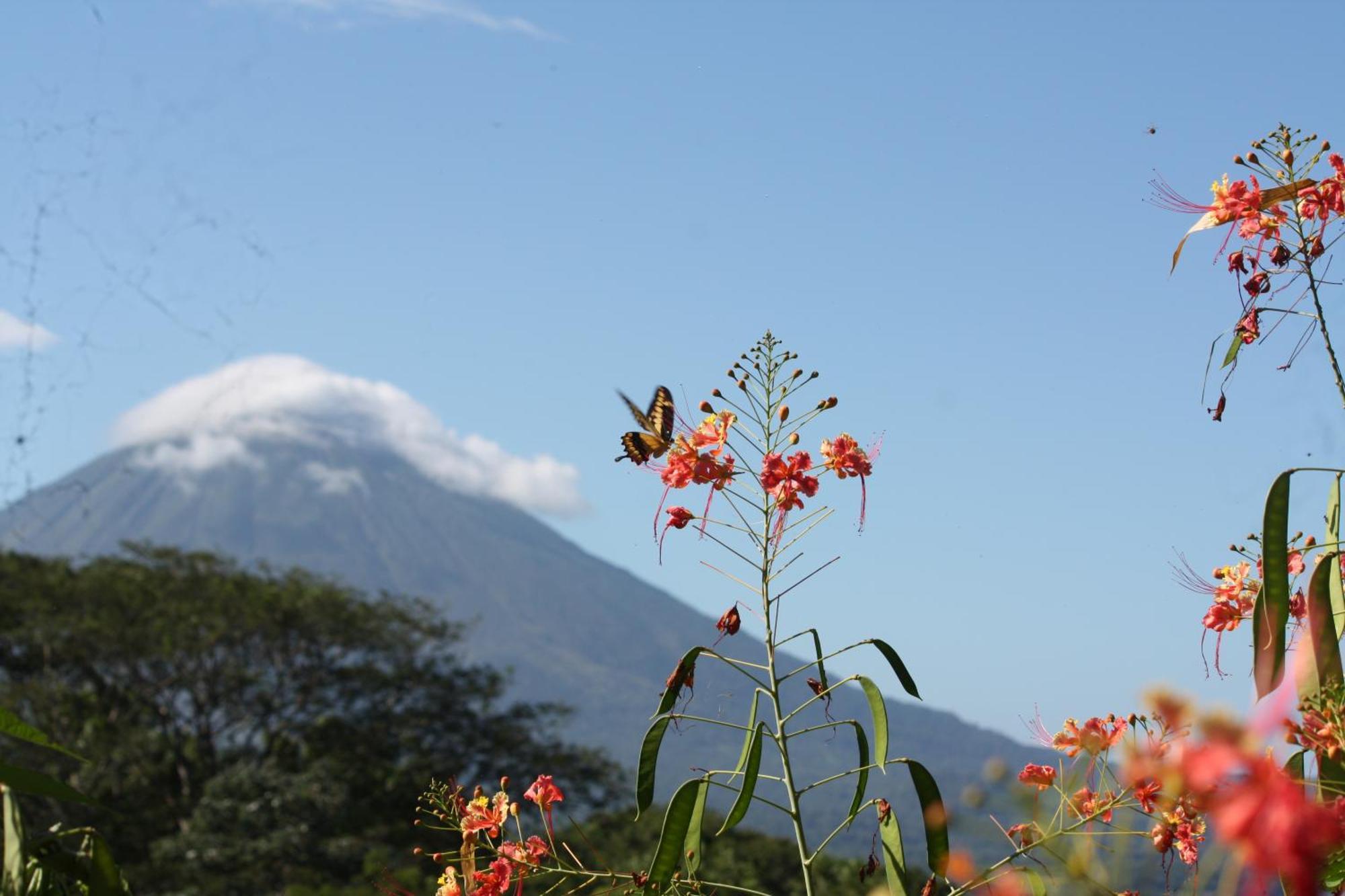 Totoco Eco Resort Balgue エクステリア 写真